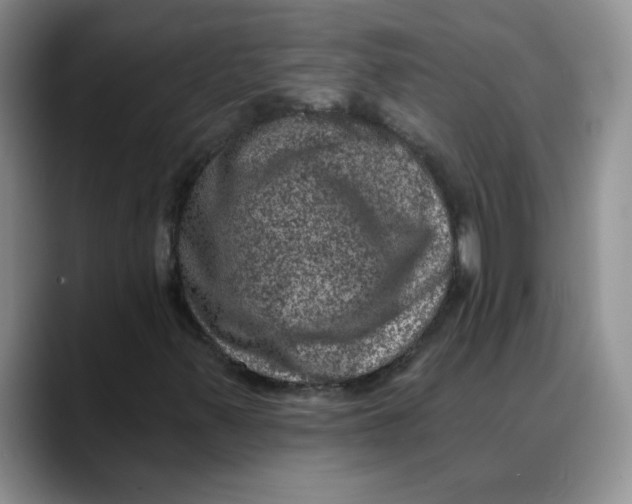 X0000088431347200706121443