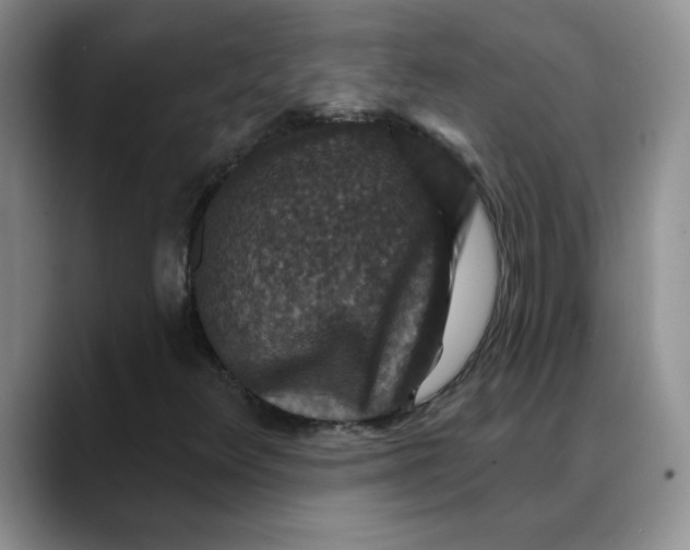 X0000088431348200706121443