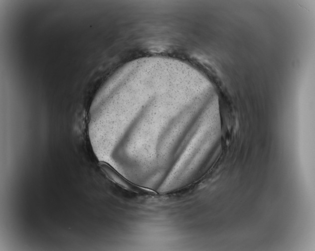 X0000088431349200706121443