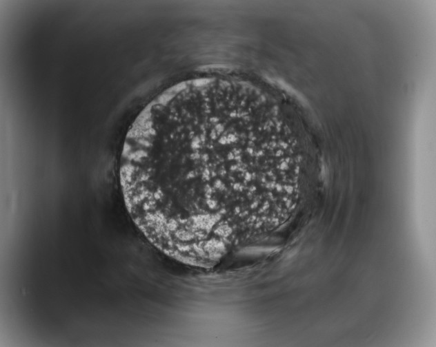 X0000088431351200706121443