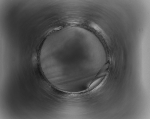 X0000088431353200706121443