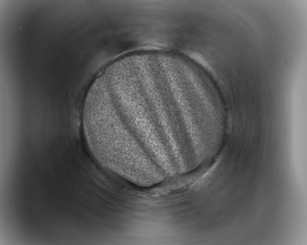 X0000088431355200706121443