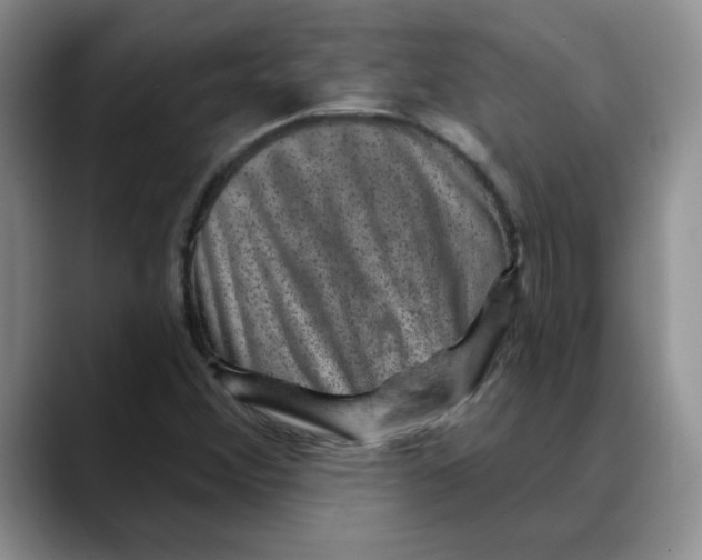 X0000088431356200706121443