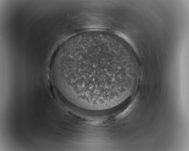 X0000088431357200706121443