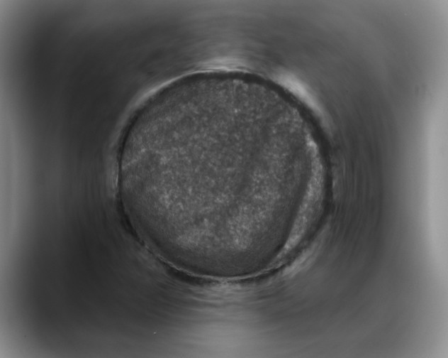 X0000088431358200706121443