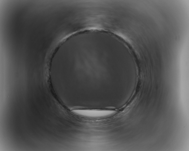 X0000088431359200706121443