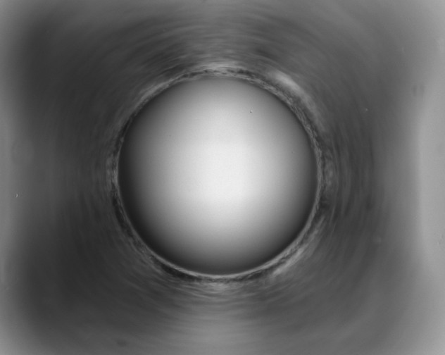 X0000088431361200706121443