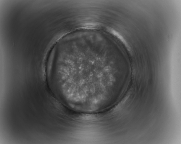 X0000088431362200706121443