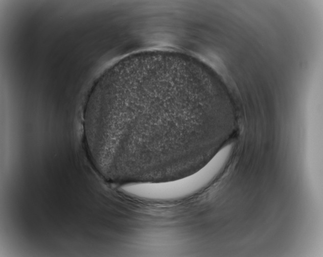 X0000088431363200706121443