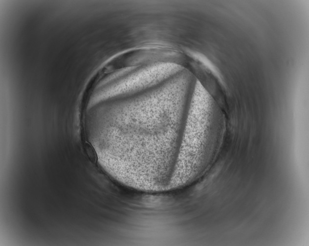 X0000088431364200706121443