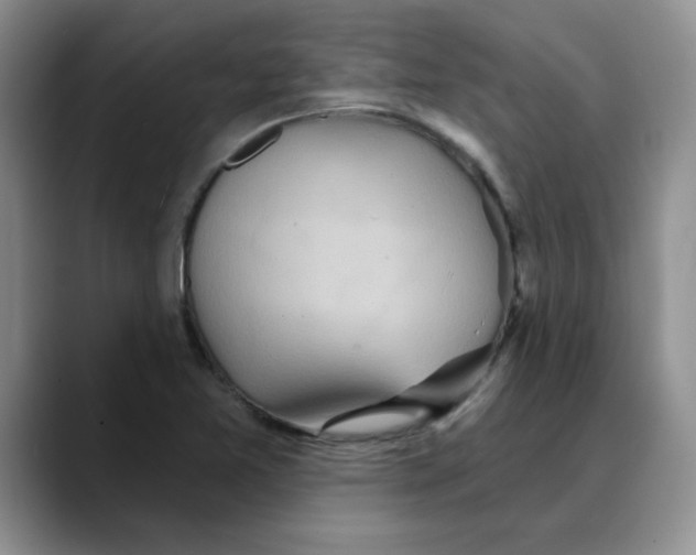 X0000088431365200706121443