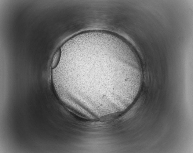 X0000088431366200706121443