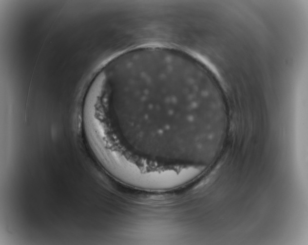 X0000088431367200706121443