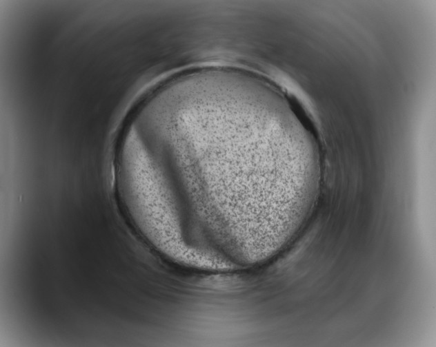 X0000088431368200706121443