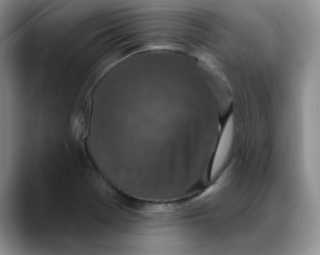 X0000088431369200706121443