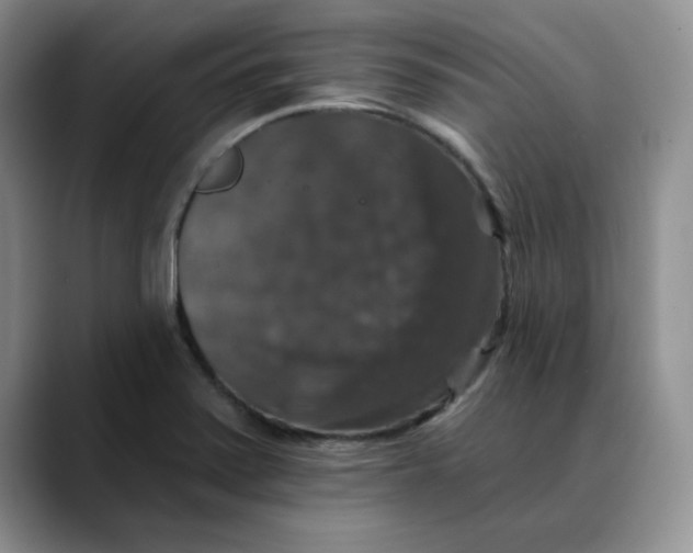 X0000088431371200706121443