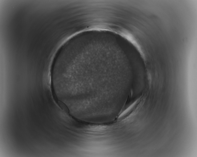 X0000088431372200706121443