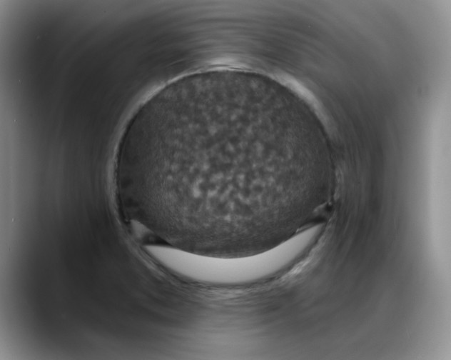 X0000088431373200706121443