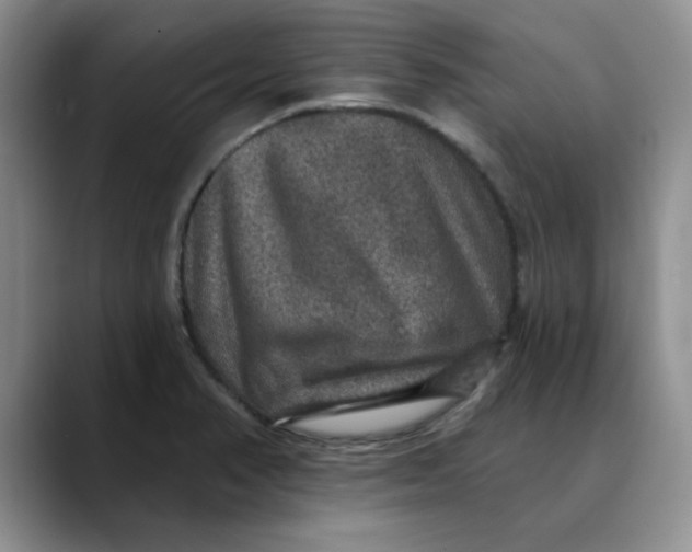 X0000088431374200706121443