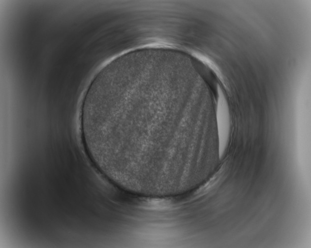 X0000088431375200706121443