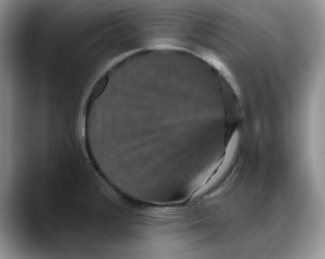 X0000088431376200706121443