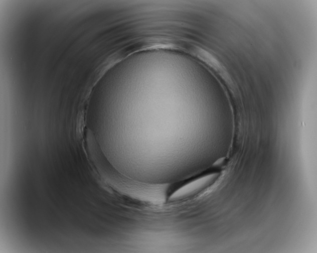 X0000088431377200706121443