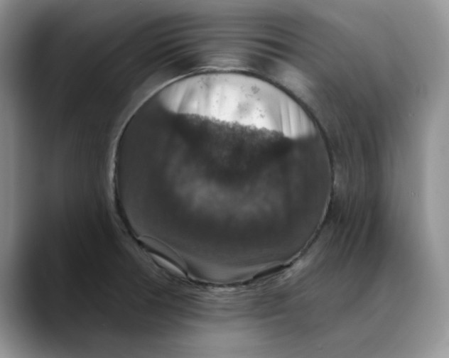 X0000088431378200706121443