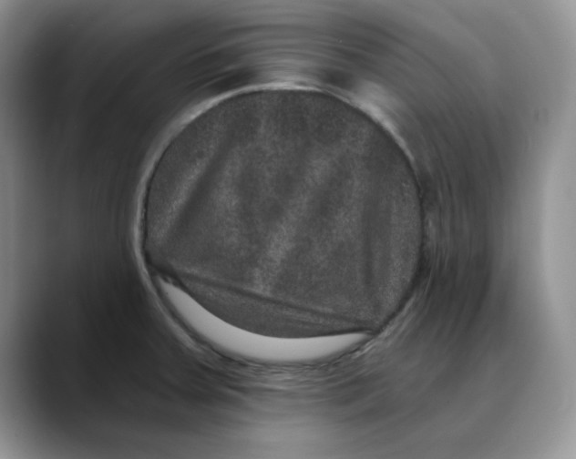 X0000088431379200706121443