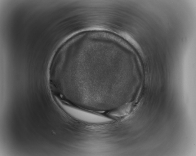 X0000088431380200706121443