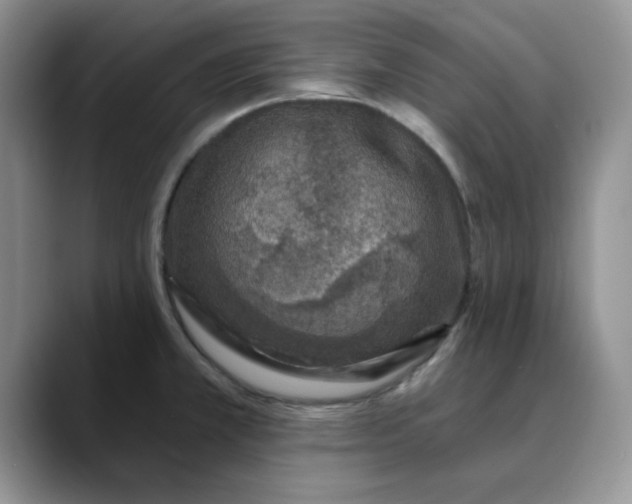 X0000088431381200706121443