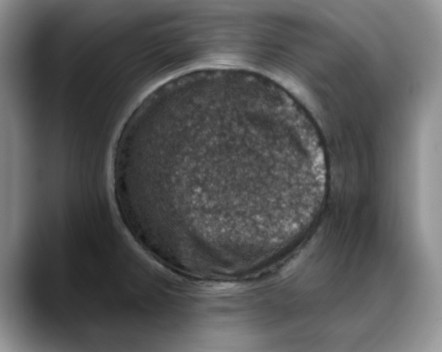 X0000088431382200706121443