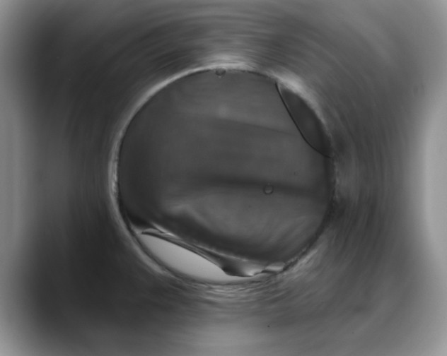 X0000088431383200706121443