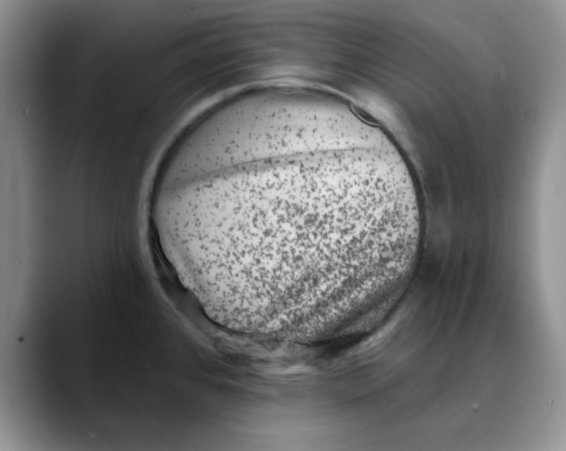 X0000088431384200706121443