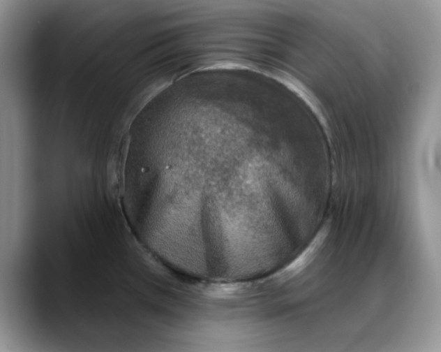 X0000088431385200706121443