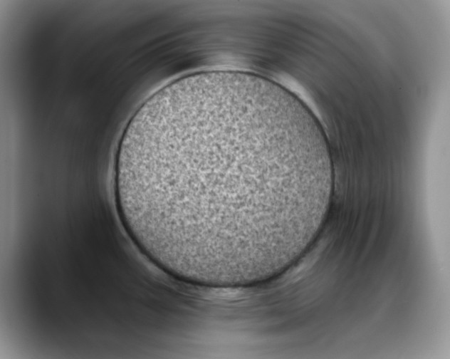 X0000088431387200706121443