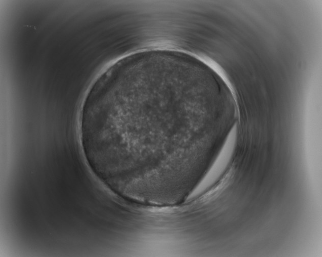 X0000088431389200706121443