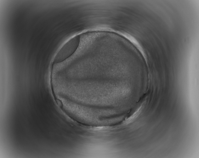 X0000088431390200706121443