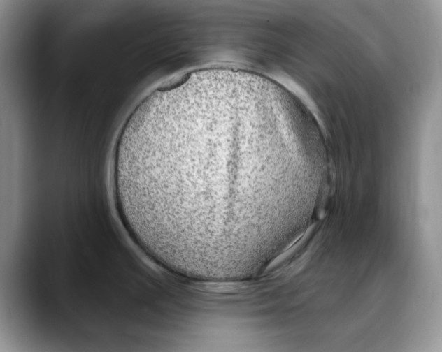 X0000088431391200706121443