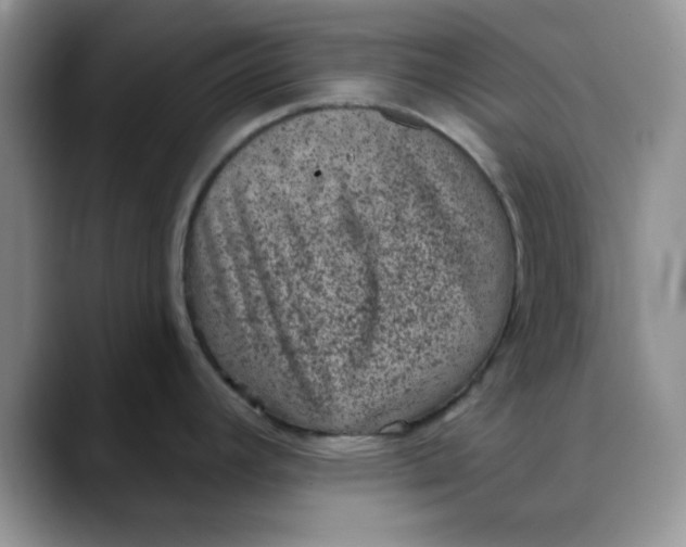 X0000088431392200706121443