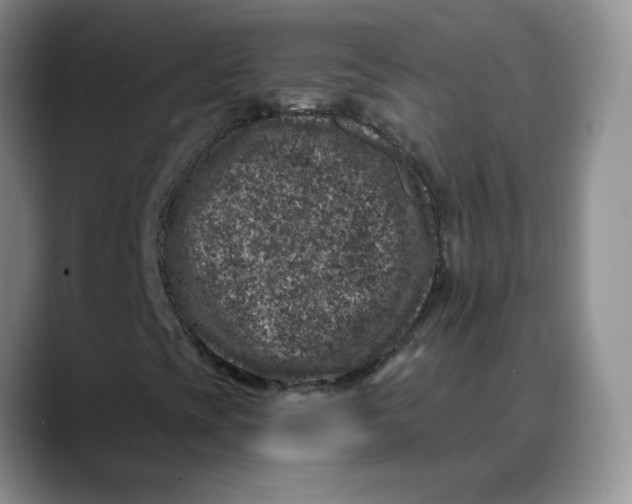 X0000088431393200706121442