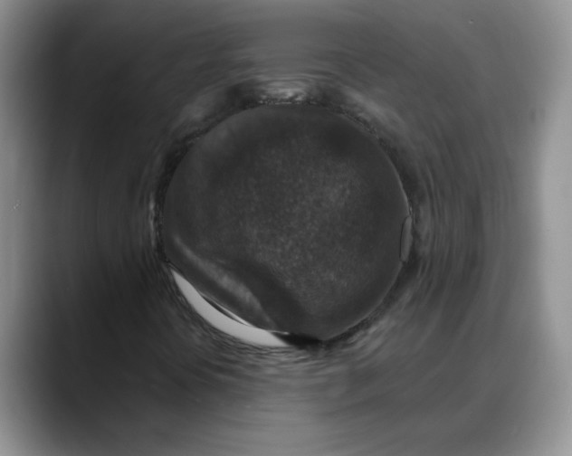 X0000088431394200706121442