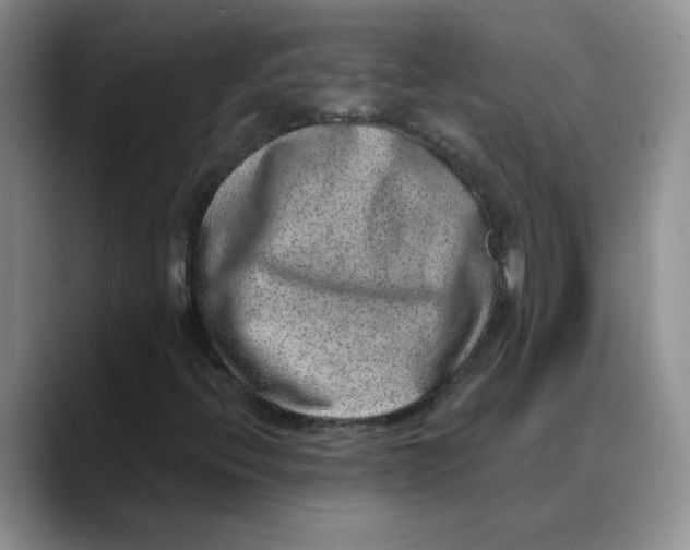 X0000088431396200706121442