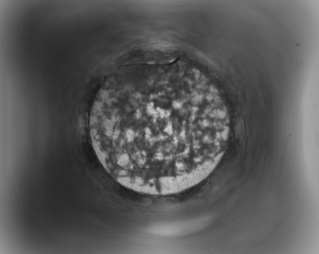 X0000088431397200706121442