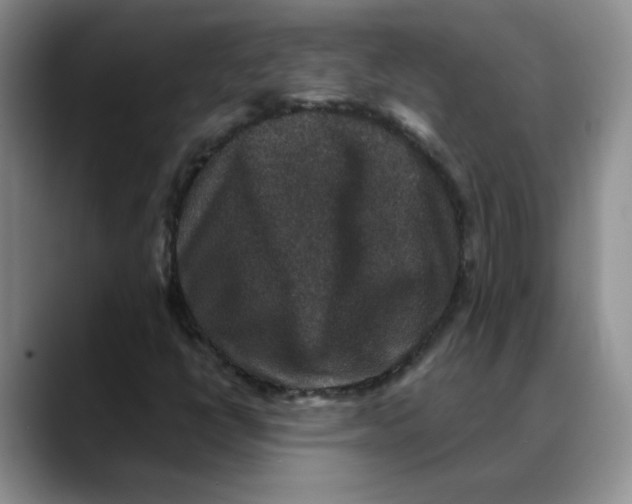 X0000088431398200706121442