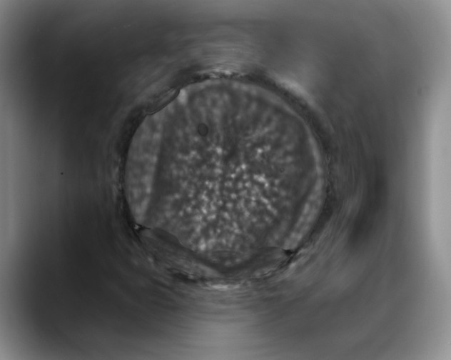 X0000088431399200706121442