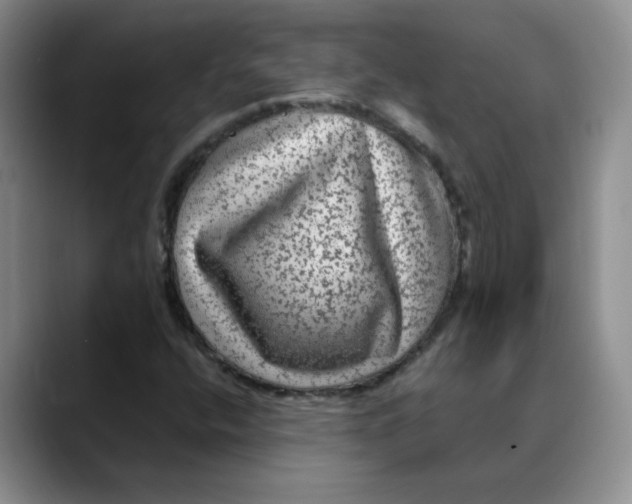 X0000088431400200706121442