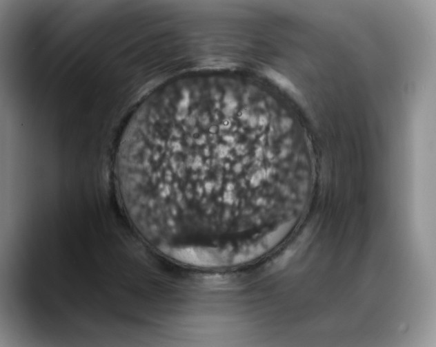 X0000088431401200706121442