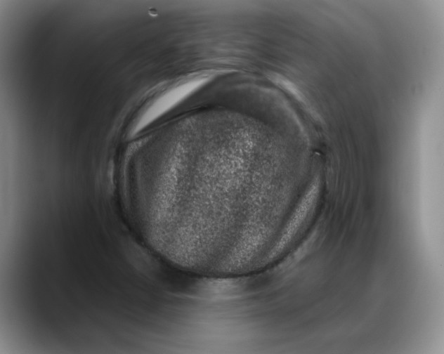 X0000088431402200706121442