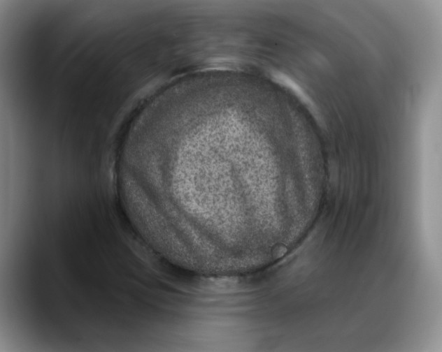 X0000088431403200706121442