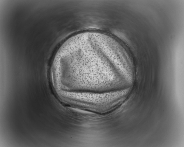 X0000088431404200706121442